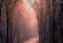 北京国安在客场挖下宝贵三分，战胜对手