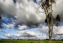 世界杯冠军球队举办友谊赛,实力抢眼