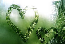 世界杯冠军球队举办友谊赛,实力抢眼