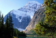 世界杯冠军球队举办友谊赛,实力抢眼