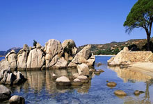 世界杯冠军球队举办友谊赛,实力抢眼