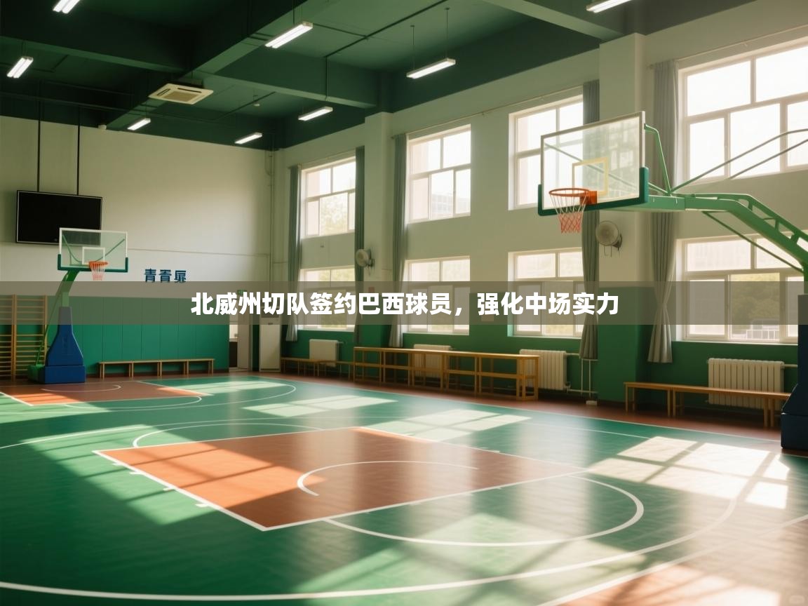 北威州切队签约巴西球员,强化中场实力 第1张