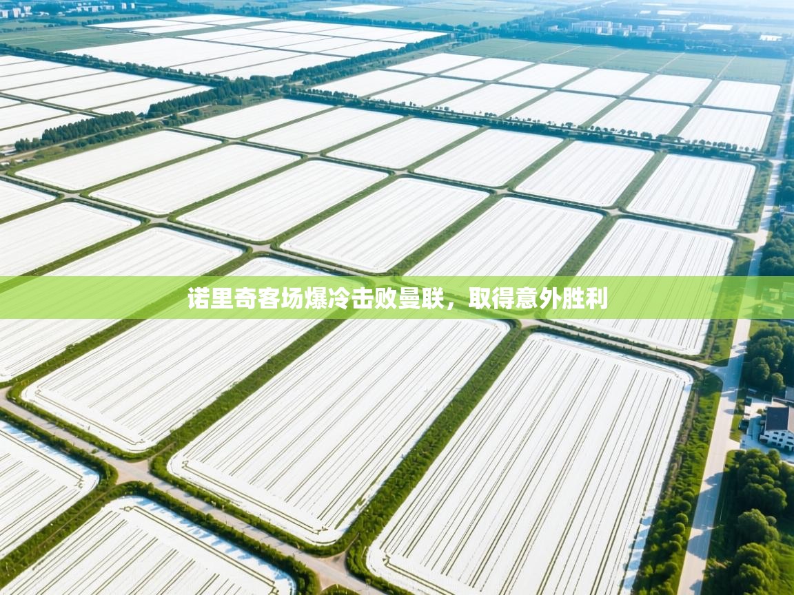 诺里奇客场爆冷击败曼联，取得意外胜利  第2张