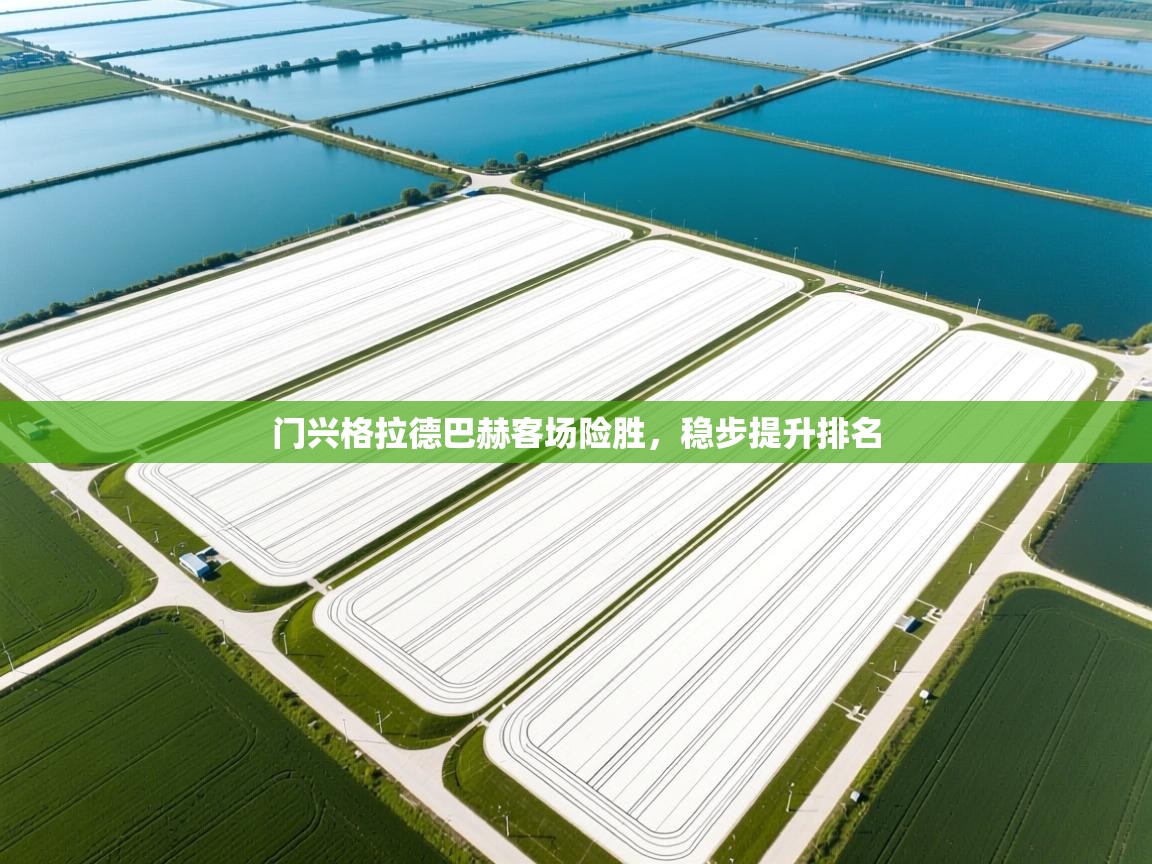 门兴格拉德巴赫客场险胜，稳步提升排名  第1张