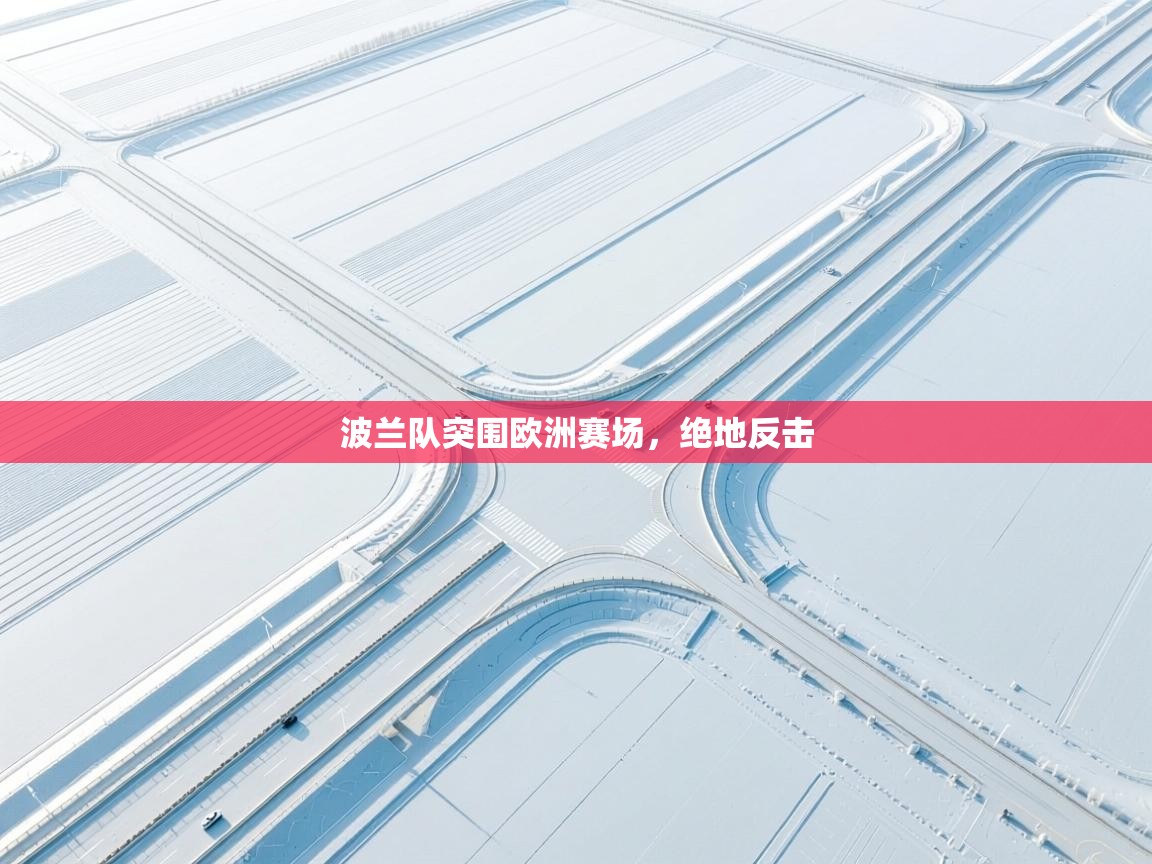 波兰队突围欧洲赛场,绝地反击 第2张