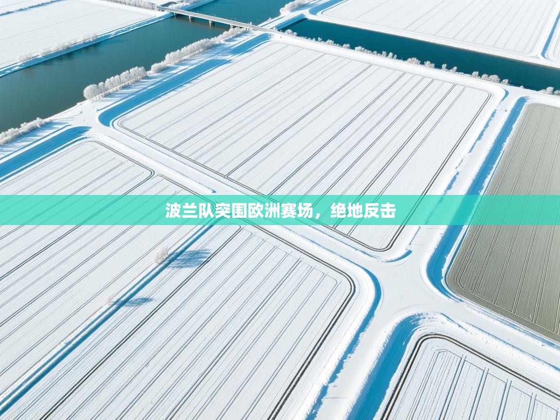 波兰队突围欧洲赛场,绝地反击 第1张