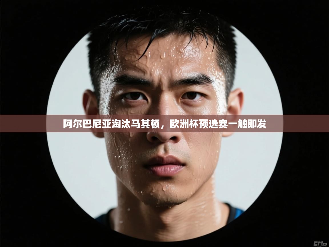 阿尔巴尼亚淘汰马其顿，欧洲杯预选赛一触即发  第1张