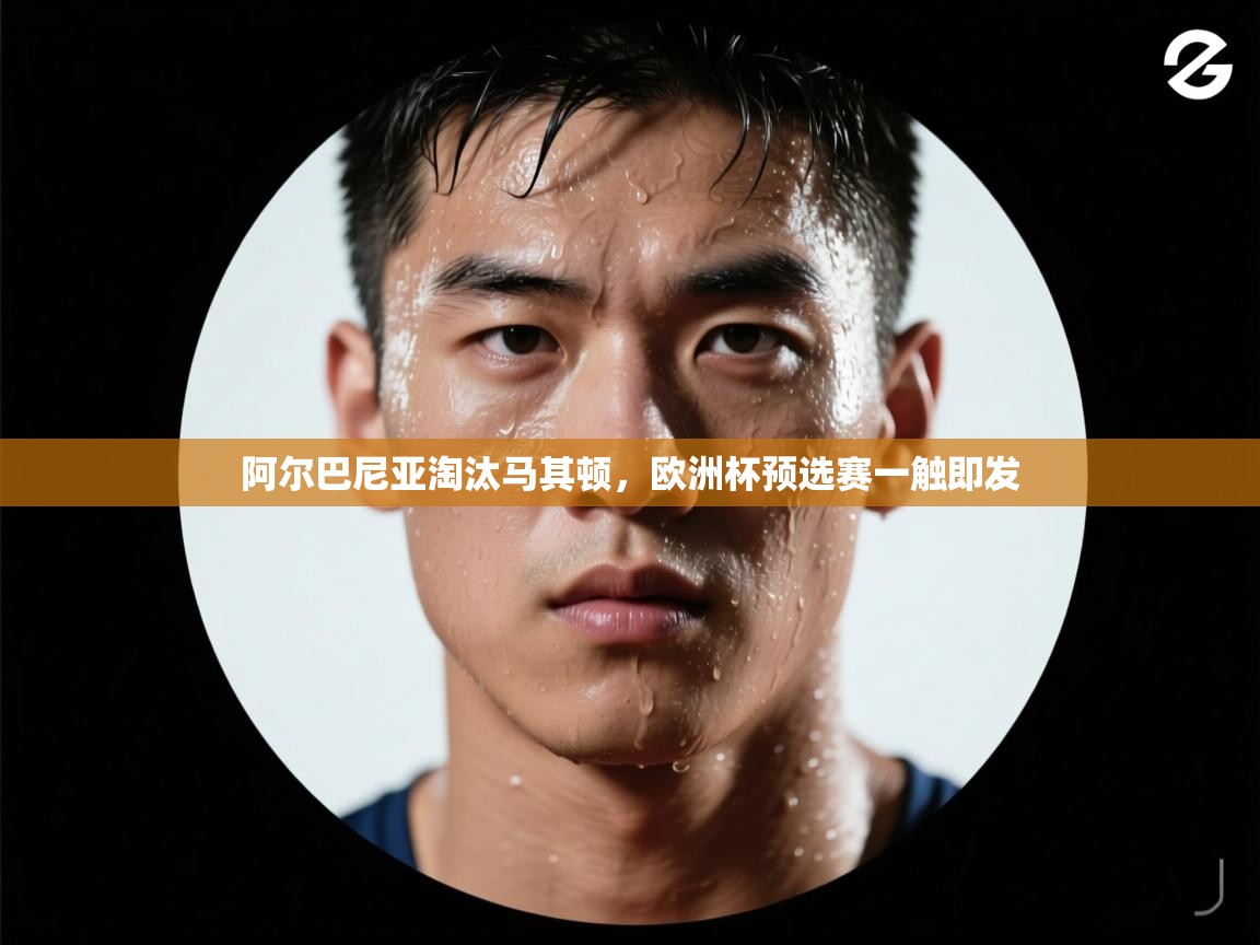 阿尔巴尼亚淘汰马其顿，欧洲杯预选赛一触即发  第2张